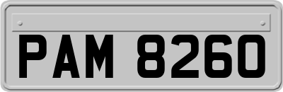PAM8260