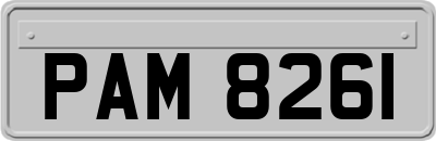 PAM8261
