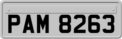 PAM8263