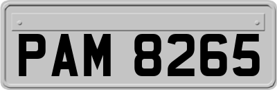 PAM8265