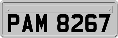 PAM8267