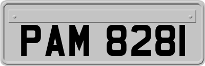 PAM8281