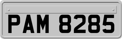 PAM8285