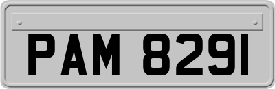 PAM8291