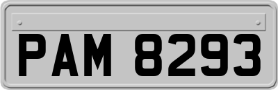 PAM8293