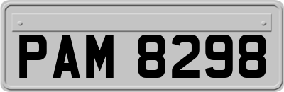 PAM8298