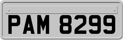 PAM8299