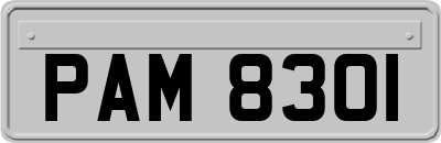 PAM8301