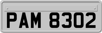 PAM8302