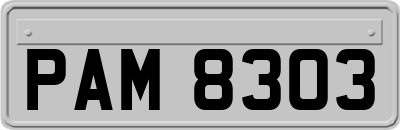 PAM8303