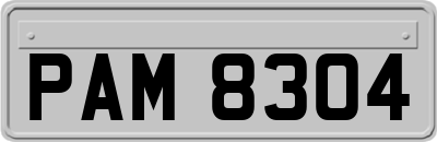 PAM8304