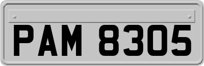 PAM8305