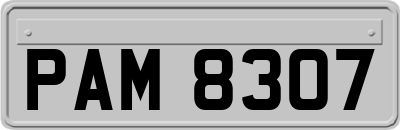 PAM8307