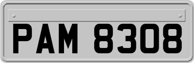PAM8308