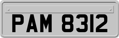 PAM8312