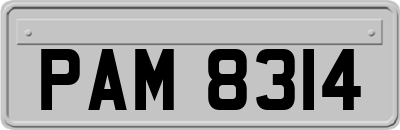 PAM8314