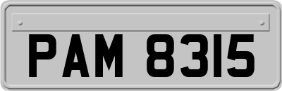 PAM8315