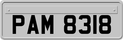 PAM8318