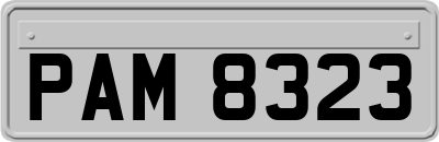 PAM8323