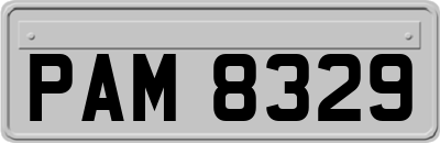 PAM8329