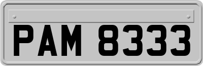 PAM8333