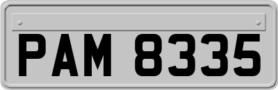 PAM8335