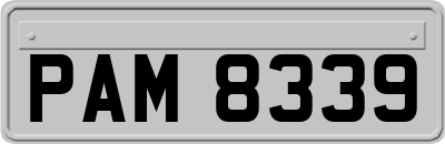PAM8339