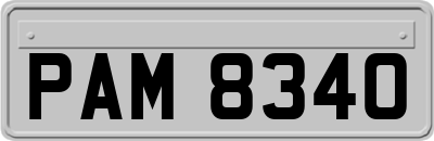 PAM8340