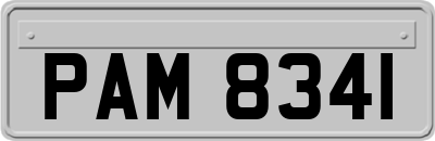 PAM8341