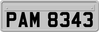 PAM8343