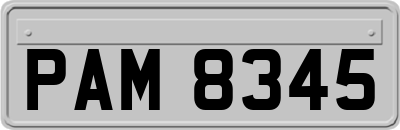 PAM8345