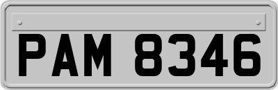 PAM8346