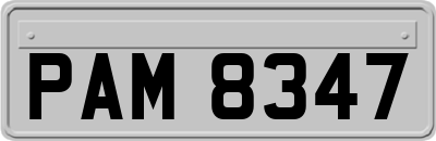 PAM8347