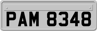 PAM8348