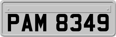 PAM8349