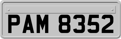 PAM8352