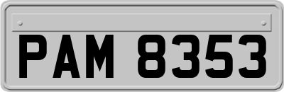 PAM8353