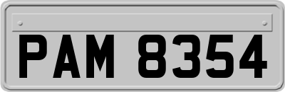 PAM8354