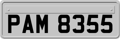 PAM8355