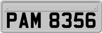 PAM8356