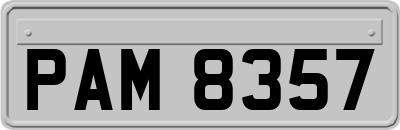 PAM8357