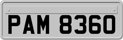 PAM8360