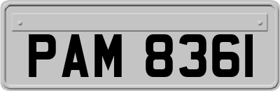 PAM8361