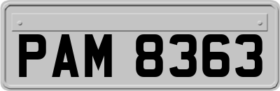 PAM8363