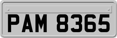 PAM8365