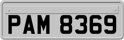 PAM8369