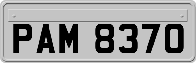 PAM8370