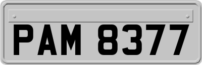 PAM8377