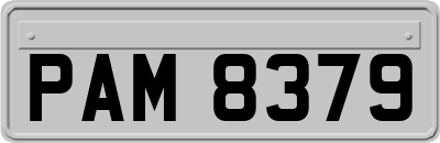 PAM8379