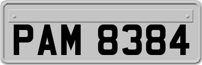 PAM8384